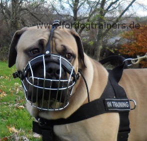 Wire Basket Dog Muzzle for Boerboel Mastiff