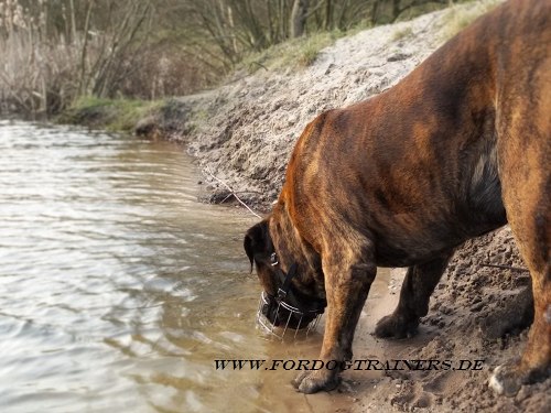 Wire Basket Dog Muzzle for Boerboel Mastiff