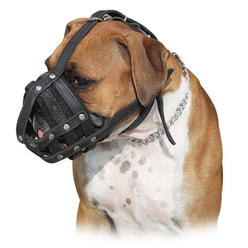 Bestseller Deutscher Boxer Leichter Hundemaulkorb aus Leder M41 - zum Schließen ins Bild klicken