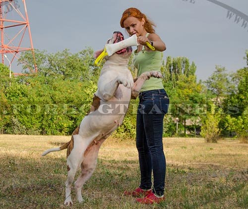 Grosse Beisswurst aus French Linen für Bulldogge