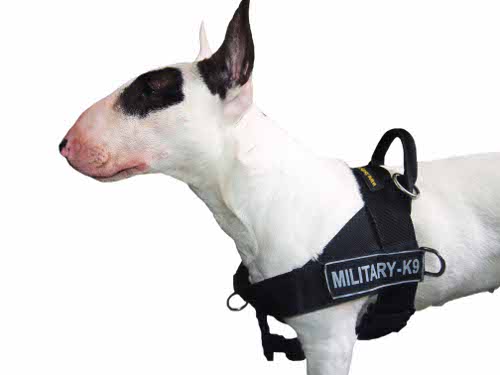 Allwetter-Hundegeschirr aus Nylon für Bullterrier