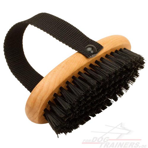 Dog Brush Made with Nylon Handle - Click Image to Close