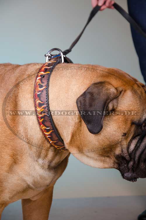 Hundehalsband bemalt Bullmastiff