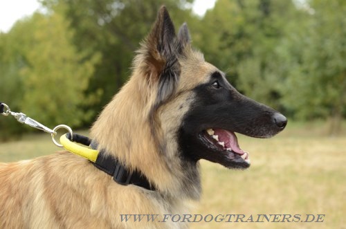 Nylon Halsband mit Schlaufe für Hundetraining