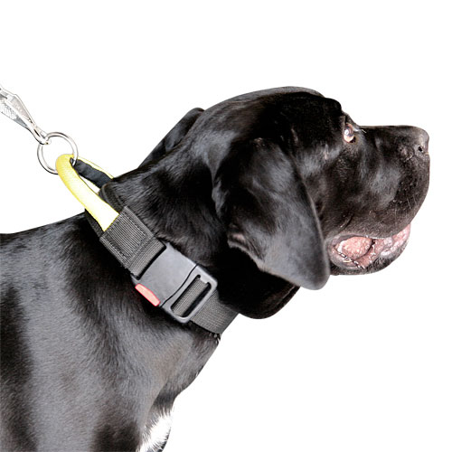 Adjustable nylon dog collar