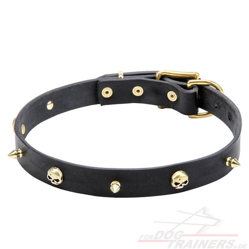 Studded Collar with Brass Skulls and Spikes