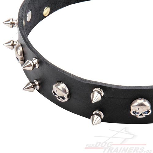 Hundehalsband mit Spikes und Schädel