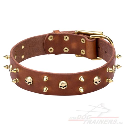 Leder Hundehalsband mit Spikes und Schädel