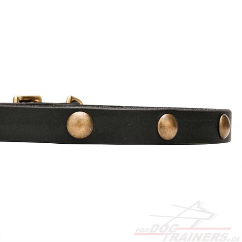 Studded Collar With Round Brass Studds, Fine