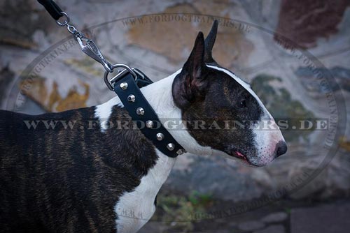 Einzigartiges Leder Hundehalsband für Bullterrier