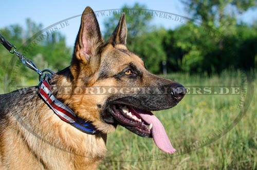 Handbemaltes Halsband Leder für Deutschen Schäferhund - zum Schließen ins Bild klicken
