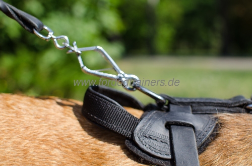 Cane Corso Harness for Sport and Agitation