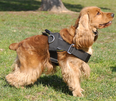 Bestseller Cocker Spaniel K9 Hundegeschirr Nylon - zum Schließen ins Bild klicken