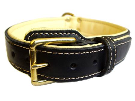 Perfect Nappa Padded Leather Dog Collar for Great Dane