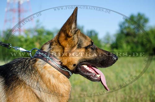 Painted leather dog collar for Shepherd - Click Image to Close