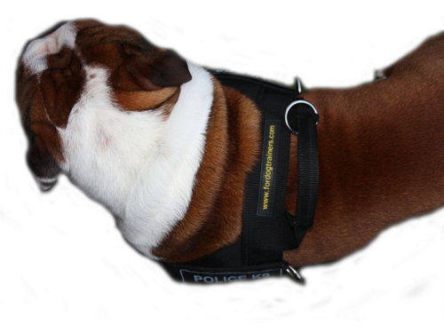 Bestseller Hundegeschirr aus Nylon für Englische Bulldogge