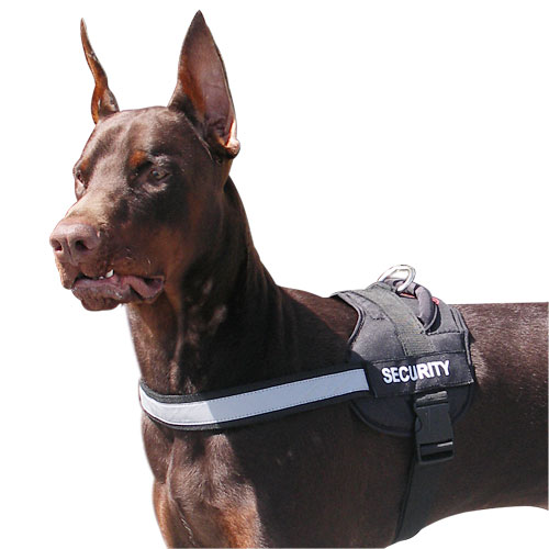 Nylon dog harness for Doberman