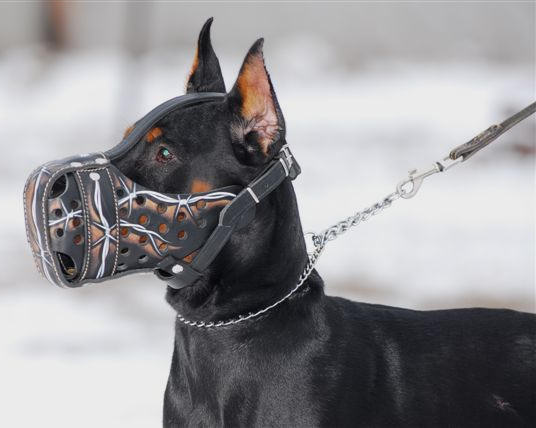 Bemalter Hundemaulkorb "Wire" M77 für Dobermann
