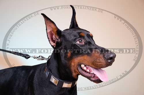 Dog Leather Collar for Doberman