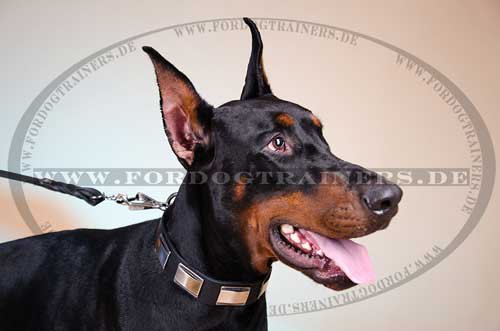 Hundehalsband Leder für Dobermann