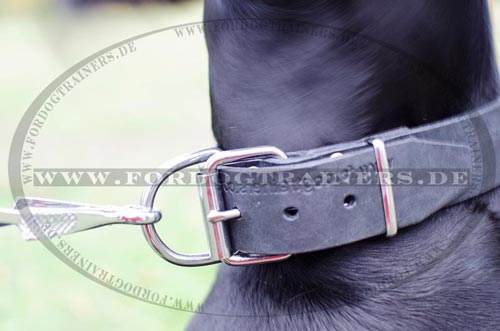 Luxuriöses Lederhalsband mit ID-Tag für Dobermann