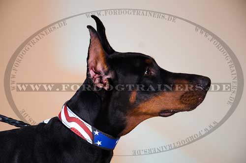 Hundehalsband Leder Bemalt im USA Stil Dobermann