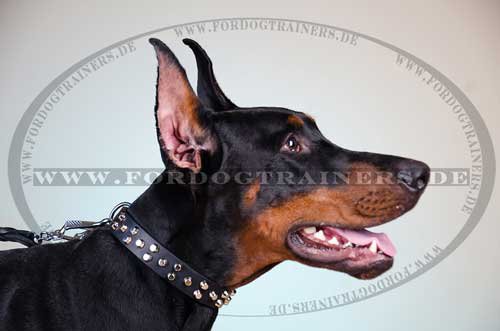 Dobermann Hunde Halsband Leder