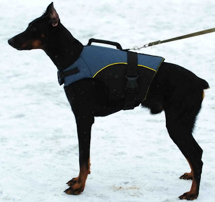 Nylon perfect dog harness H13