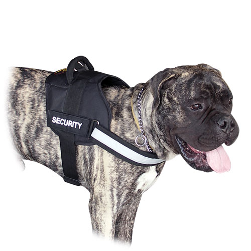Nylon dog harness for Pitbull