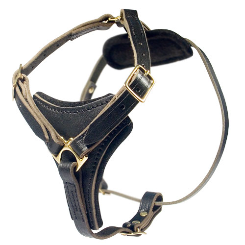 Universal Leather Harness