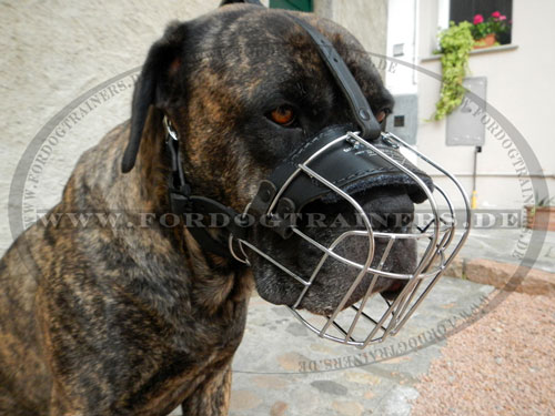 Bestseller Drahtmaulkorb für Cane Corso, freies Hecheln & Trinken ❺