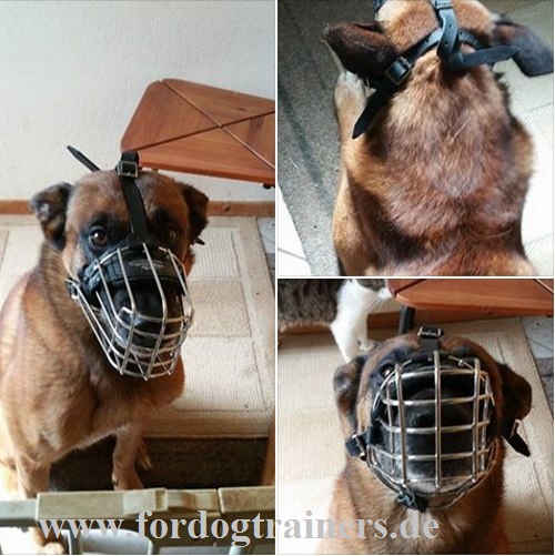 Wire Basket Dog Muzzle for Belgian Malinois