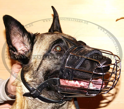 Wire Basket Dog Muzzle for Belgian Malinois