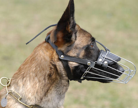 Bestseller Maulkorb kaufen für Malinois, Universeller Beisskorb! - zum Schließen ins Bild klicken