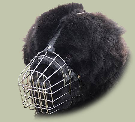 Wire Dog Muzzle for Newfoundland Dog Breed