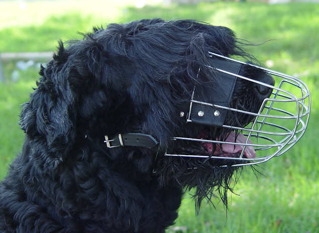 Bestseller Großer Drahtmaulkorb für Schwarzen Terrier - zum Schließen ins Bild klicken