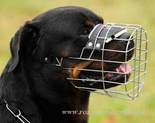 Außergewöhnlicher Rottweiler Korb aus Draht