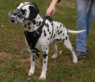 Wire Basket Dog Muzzle for Dalmatian