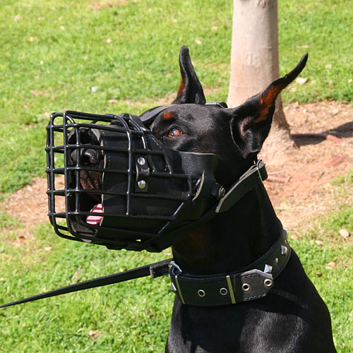 Wire Basket Dog Muzzle with Rubber Covering for Doberman