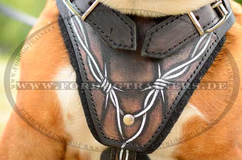 Leather Harness Exclusive Painted | English Bulldog Dog Harness
