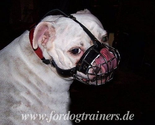 Wire Basket Dog Muzzle for Englisch Bulldog