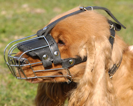 Wire Basket Dog Muzzle for small dog breeds, Cocker Spaniel