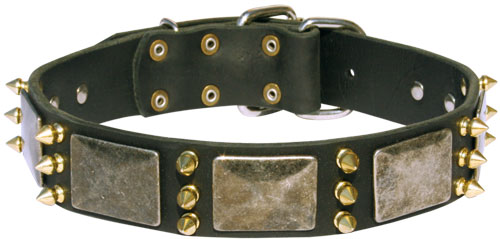 Bordeauxdogge Halsband mit massiven Schildern und Spikes C87