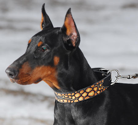 Exklusive Bemaltes Hundehalsband für Dobermann - zum Schließen ins Bild klicken