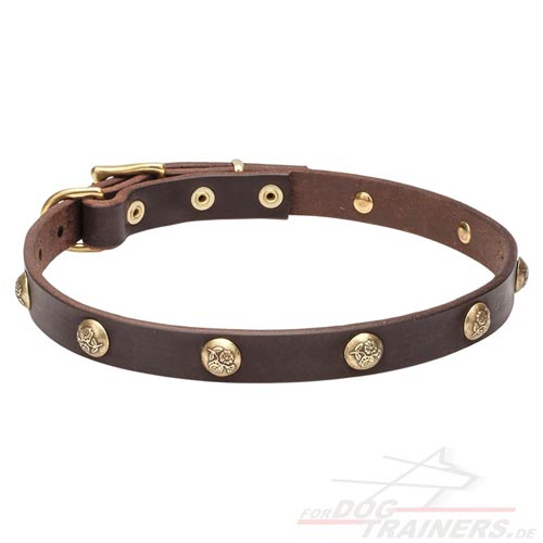 Leder Hundehalsband mit Feinem Nietendesign