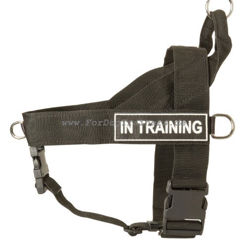 Dog Harness French Bulldog with Patches, Training
