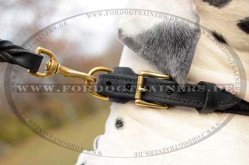 Braided dog leather collar for Great Dane