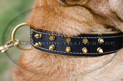 Wunderbares Shar Pei Halsband Leder | Hundehalsband mit Spikes - zum Schließen ins Bild klicken