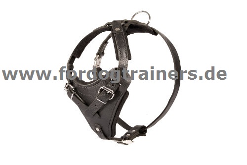 Agitation/Protection/Attack Leather Dog Harness