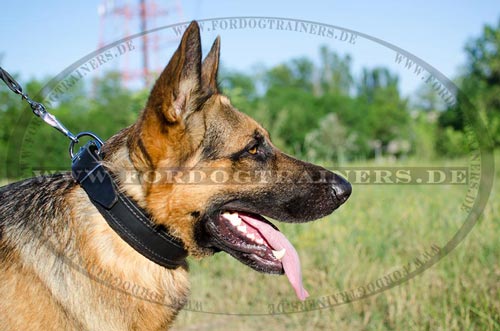 Classical German Shepherd Leather Dog Collar - Click Image to Close